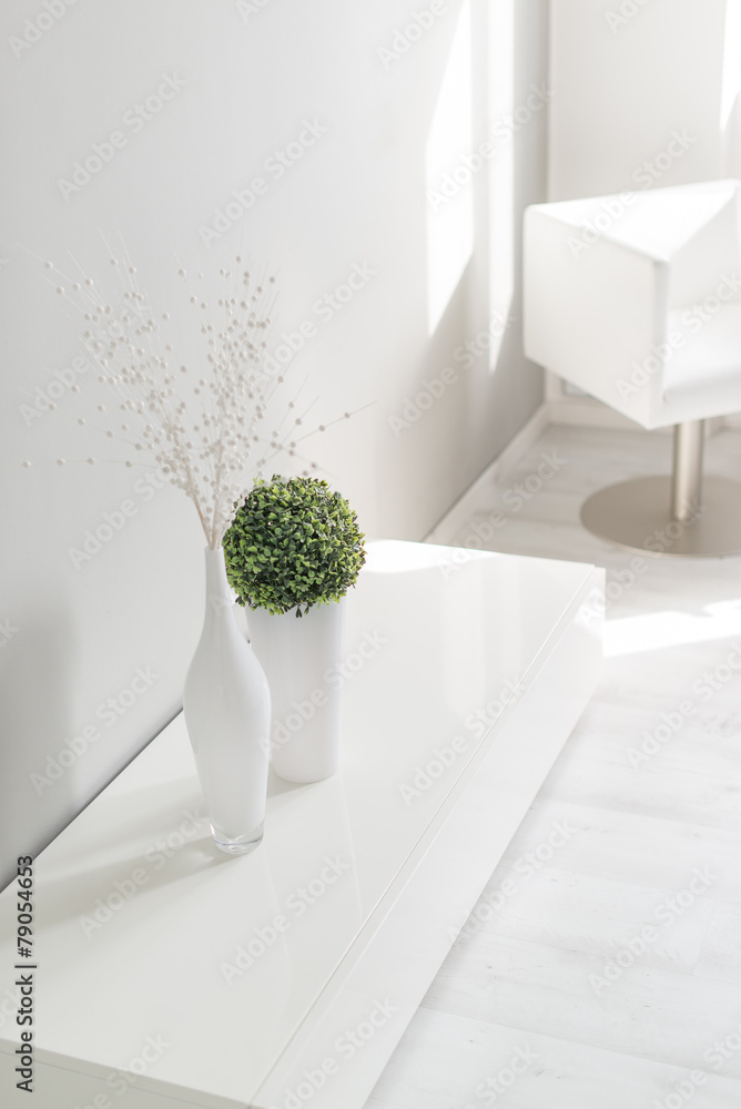 Home interior pure white