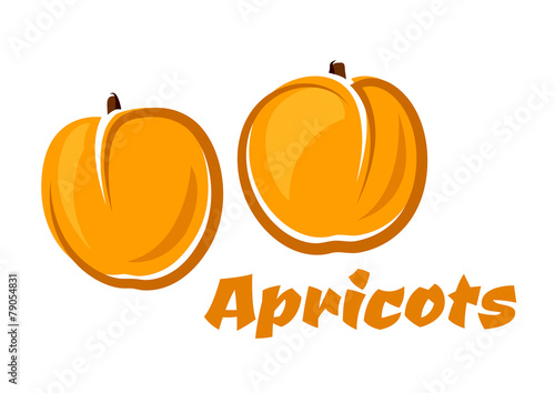 Aroma orange apricot fruits poster