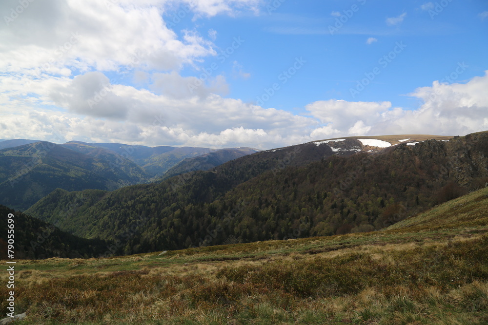 Paysage dans les Vosges