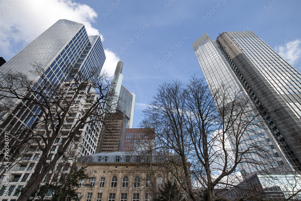 Naklejka premium skyscrapers frankfurt am main in germany