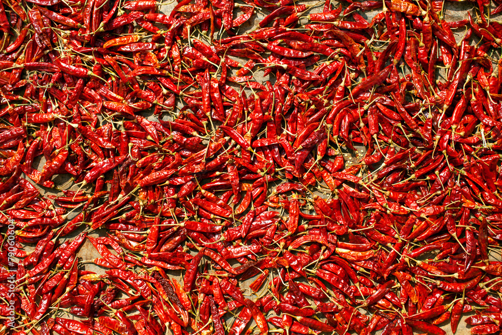 Spicy chillies pepper