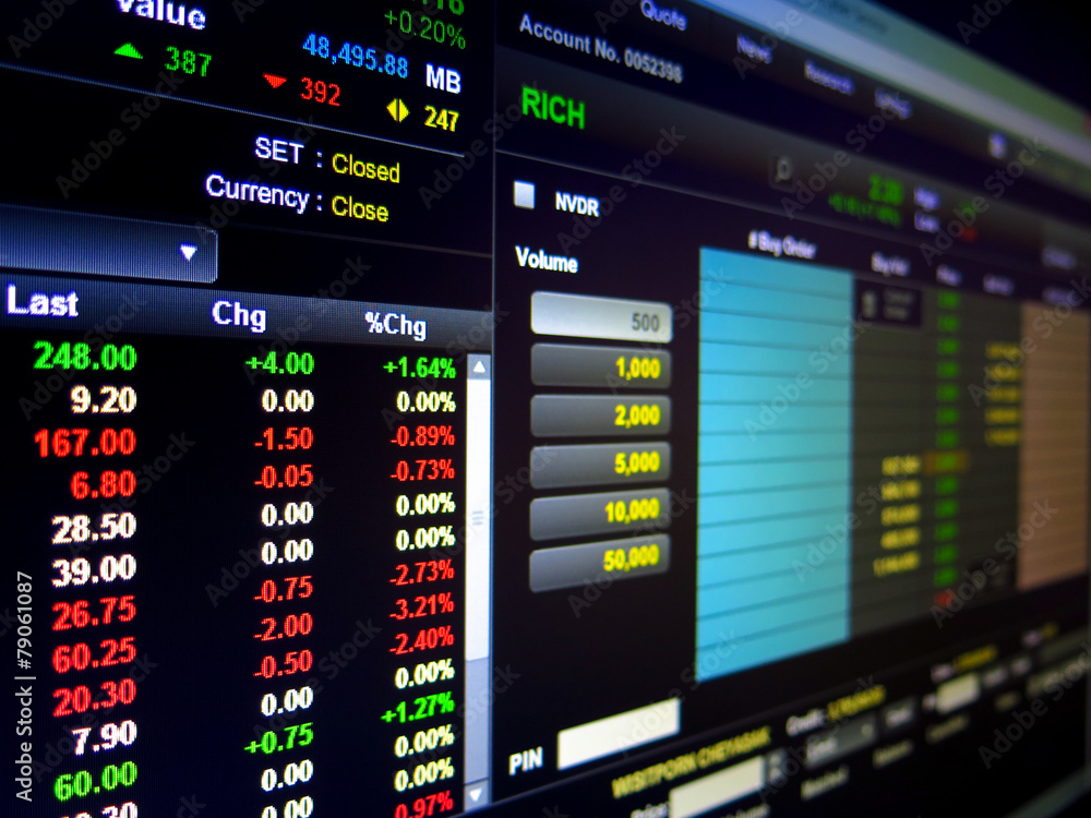 Fototapeta premium Financial Activities on A Computer