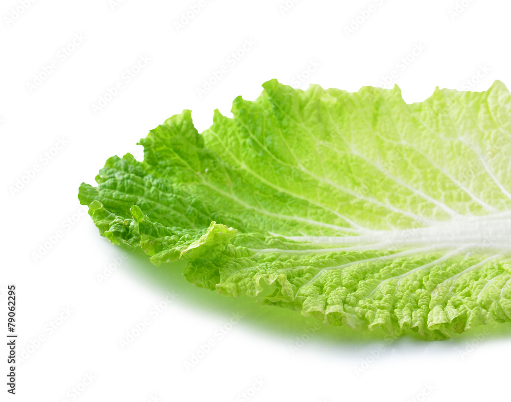 chinese cabbage Isolated on a white background chinese cabbage Isolated on a white background