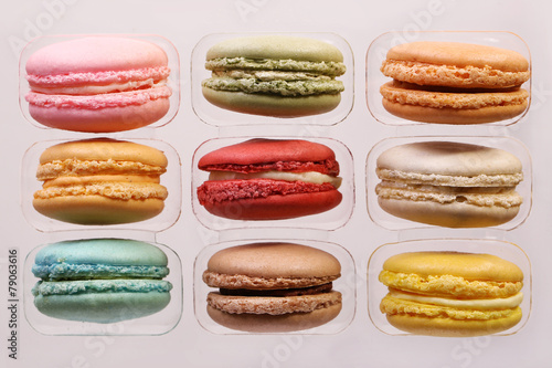 Colorful French Macaroons Collection