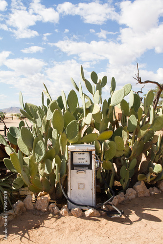 Solitairre  Namibia