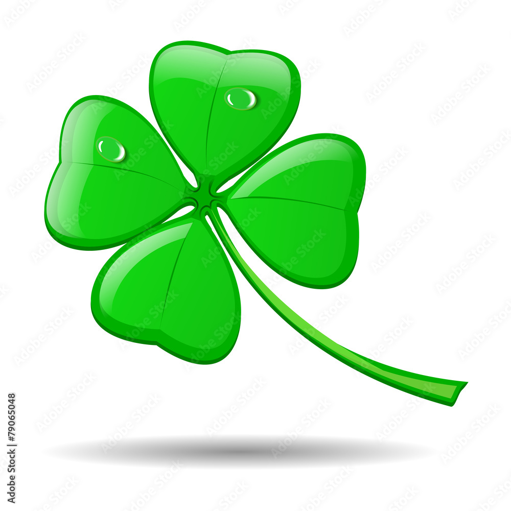 Four leaf clover isolated on white for St. Patrick's day Four leaf clover isolated on white for St. Patrick's day