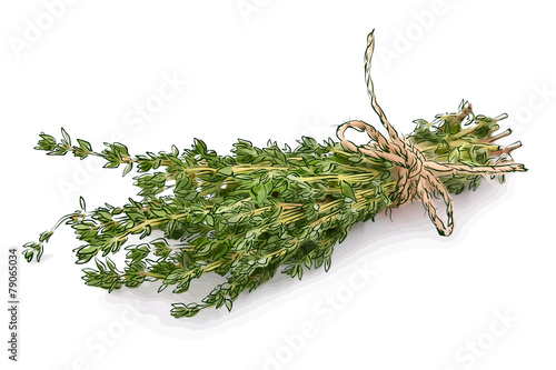 Thyme