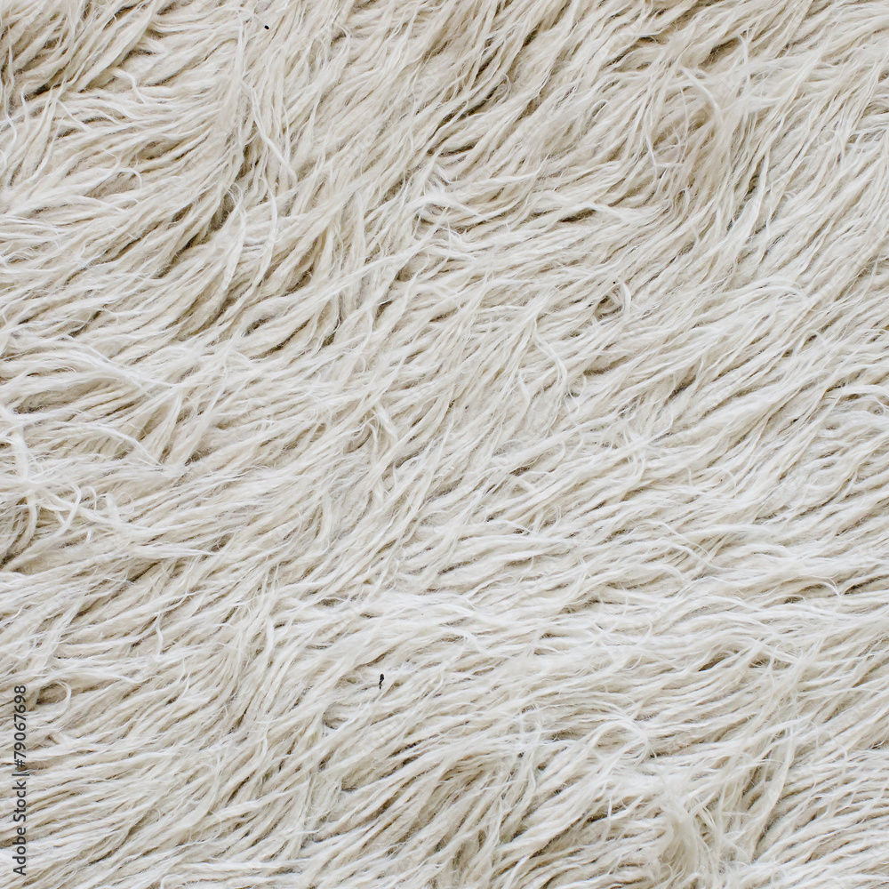 textured white big fur background textured white big fur background