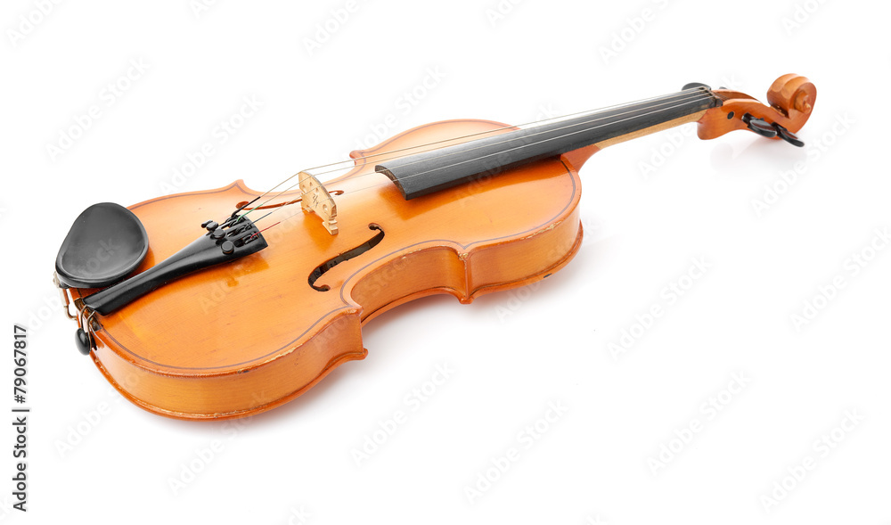 Fototapeta premium violin on white background