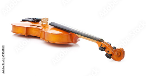 violin on white background