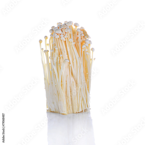 Enoki mushroom, Golden needle mushroom isolated in white backgr