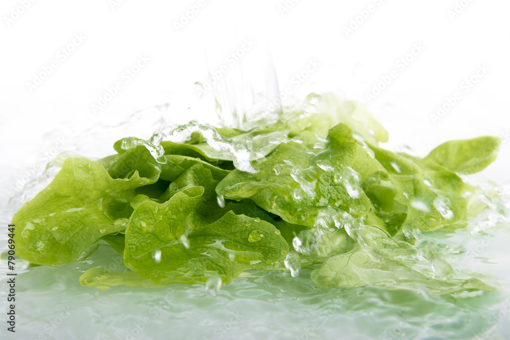 Grünen Blattsalat waschen Grünen Blattsalat waschen