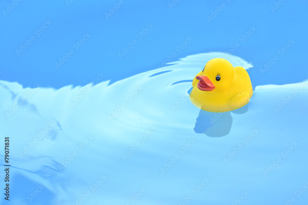 pato de goma Stock-Foto | Adobe Stock