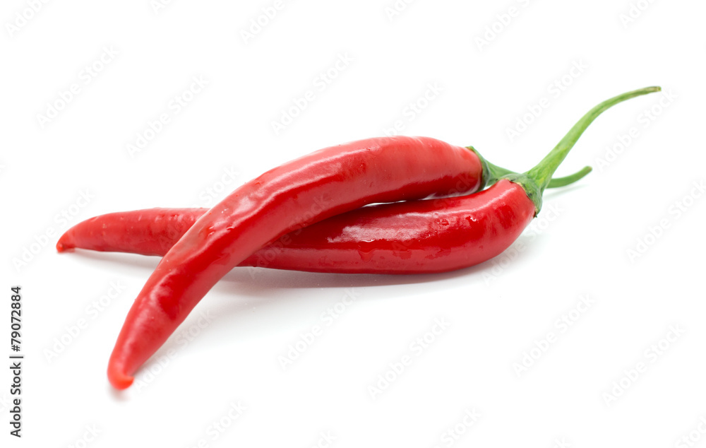 Hot red chili or chilli pepper.