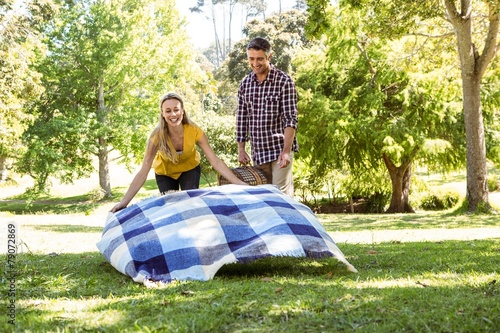 Couple having a picnic in the park © WavebreakMediaMicro