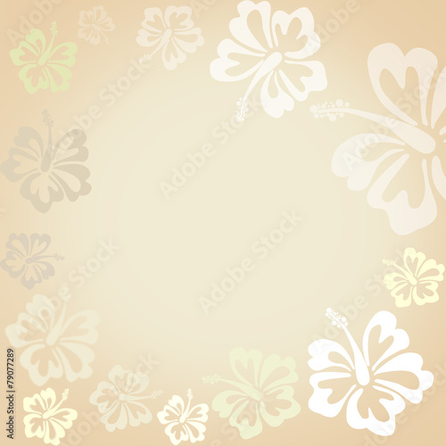 Hibiscus flowers on beige background as wallpaper