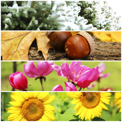 Fototapeta Naklejka Na Ścianę i Meble -  Four seasons collage: winter, spring, summer, autumn