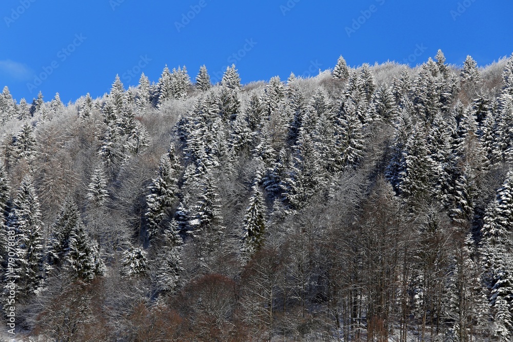 mountain landscape with snow and trees mountain landscape with snow and trees