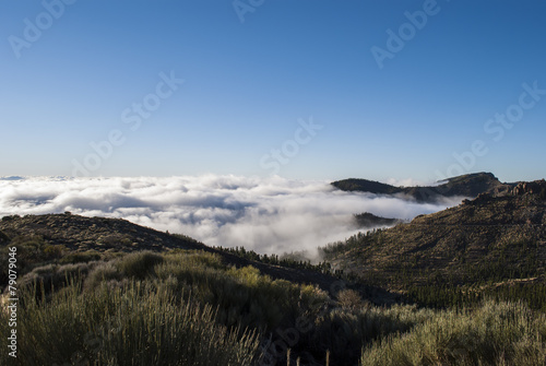 Tenerife - above the clouds
