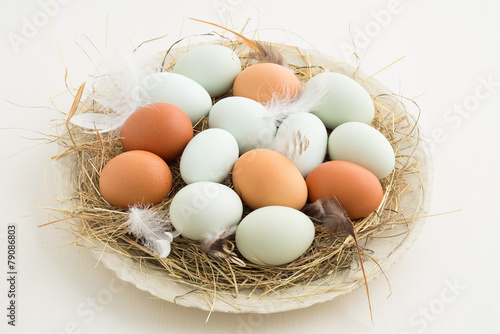 Eggs in a nest