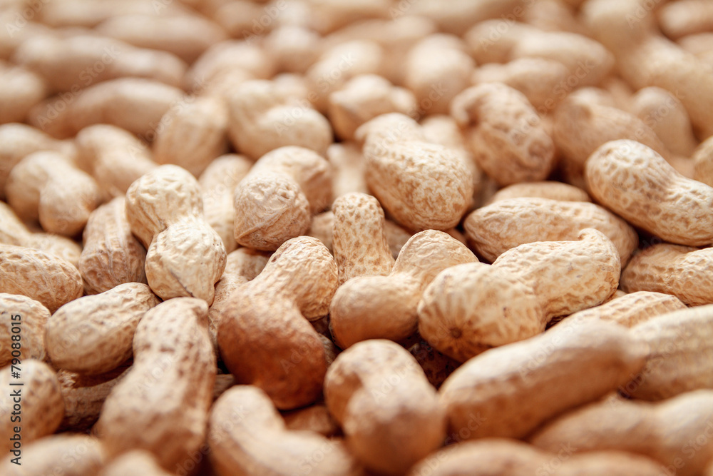 A lot of peanut in the shell. Close-up. background A lot of peanut in the shell. Close-up. background