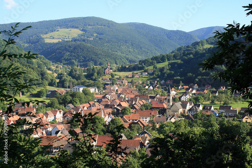 Obraz na płótnie Metzeral, village touristique des Vosges w salonie