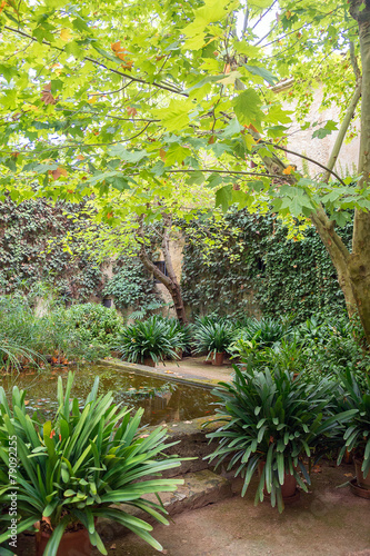 Courtyard with pond and trees with dense foliage.