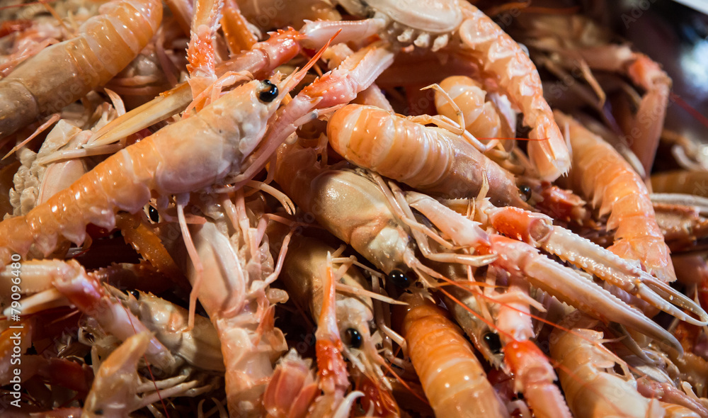 stack of fresh shrimp stack of fresh shrimp