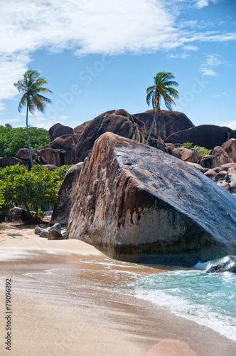 Granite Boulders and Beach Trees at Virgin Gorda