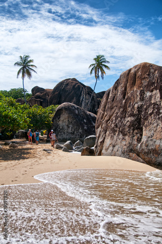 Palm Tree at Boulders in The Baths, Virgin Gorda