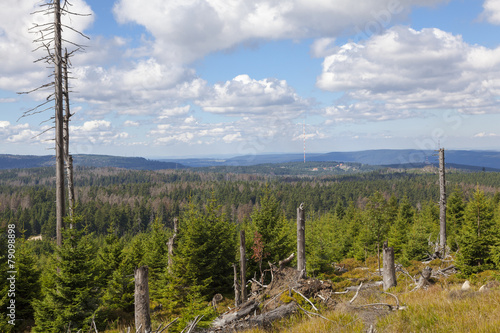 Blick auf Torfhaus