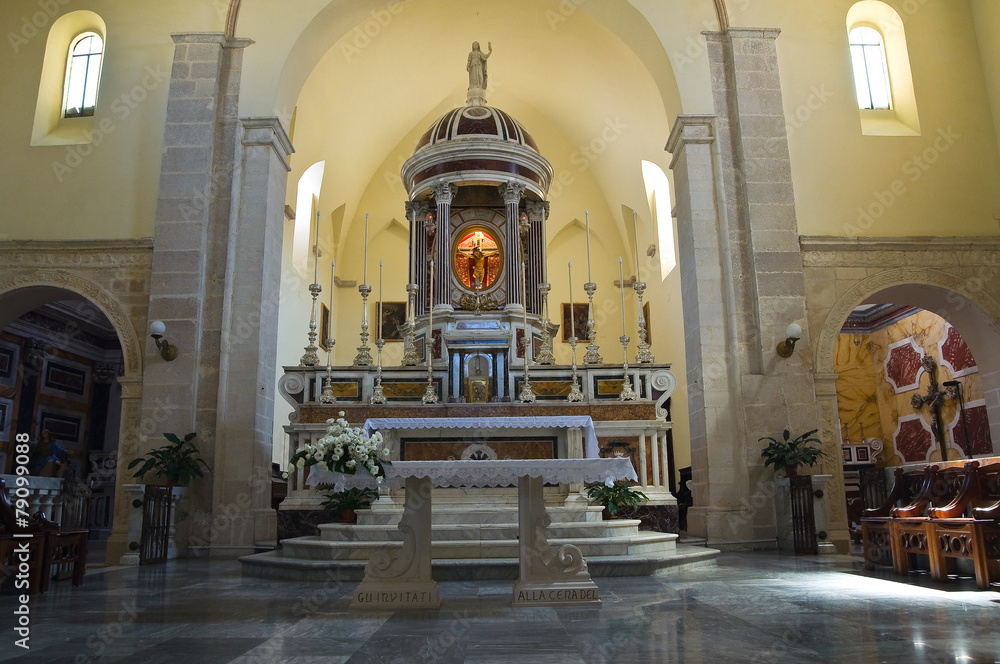 Cathedral of Assunta. Minervino Murge. Puglia. Italy.