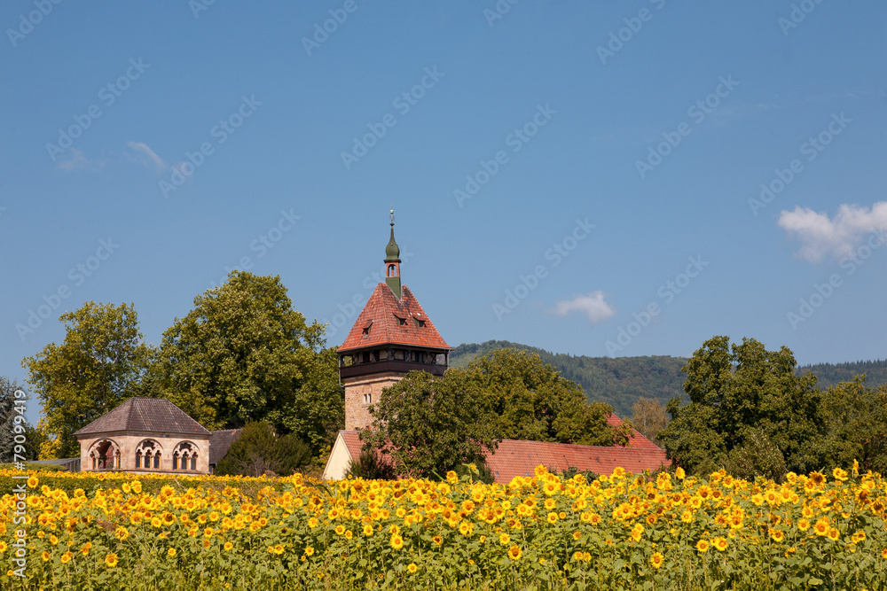 Geilweilerhof mit Sonnenblumen