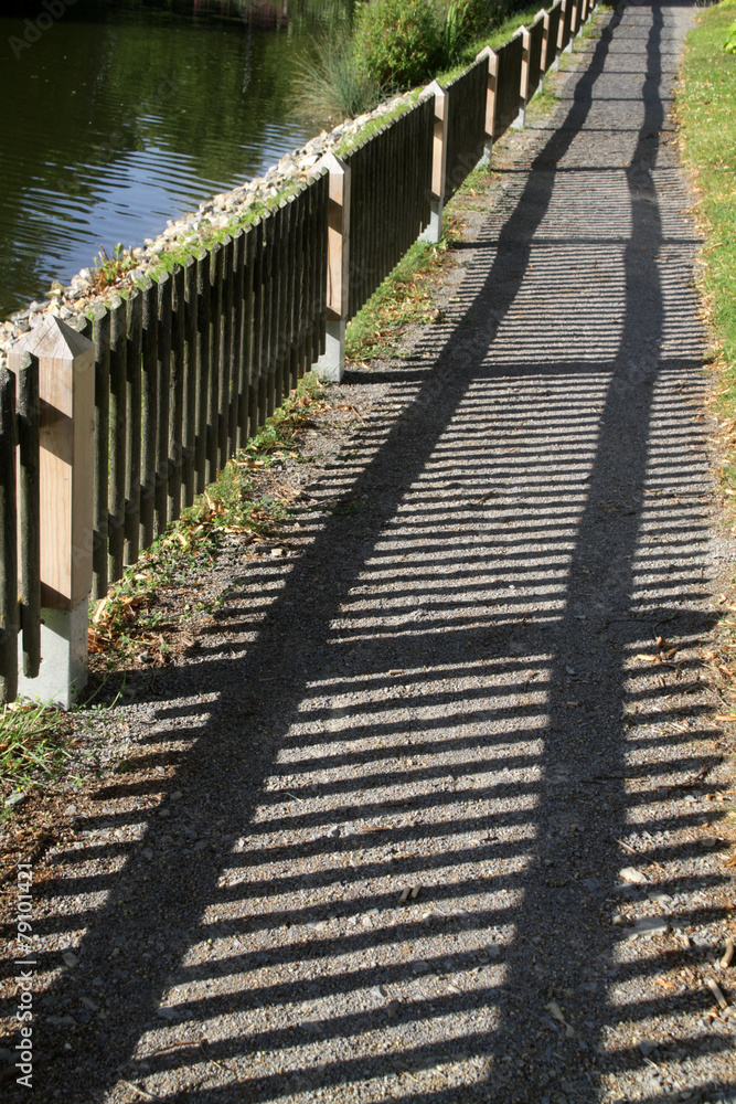 Weg mit Zaunschatten Weg mit Zaunschatten