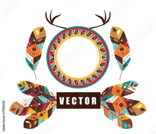 Feather design, vector illustration.