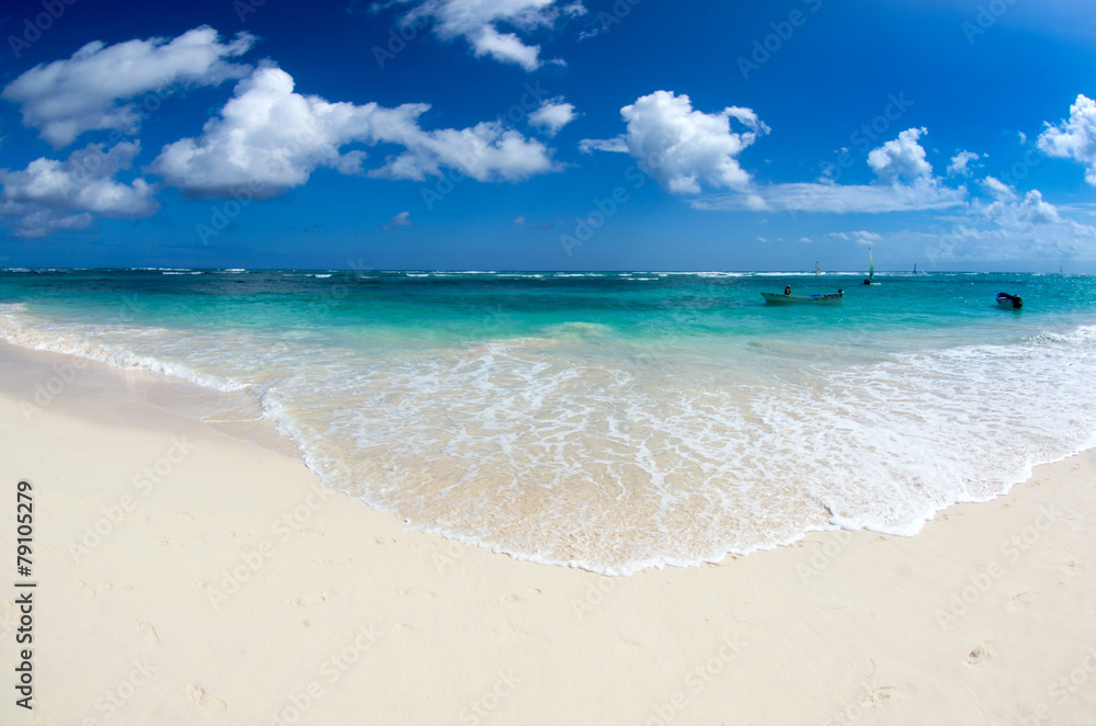 Fototapeta premium beach