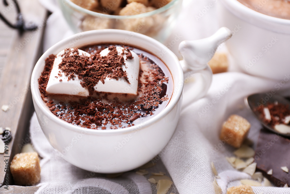 Hot chocolate with marshmallows in mug, Hot chocolate with marshmallows in mug,