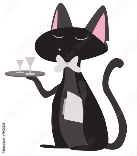 butler cat