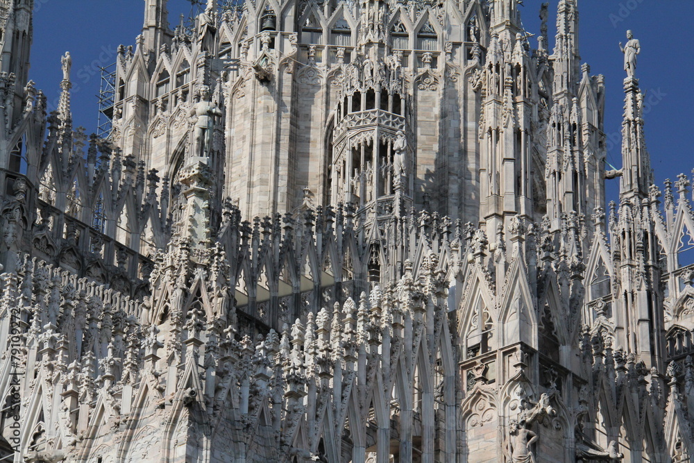 Duomo di Milano: una foresta di marmo