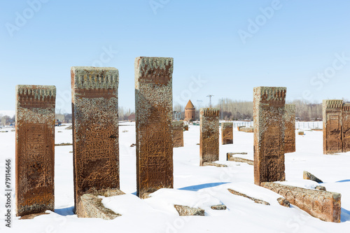 Seljuk Cemetery photo