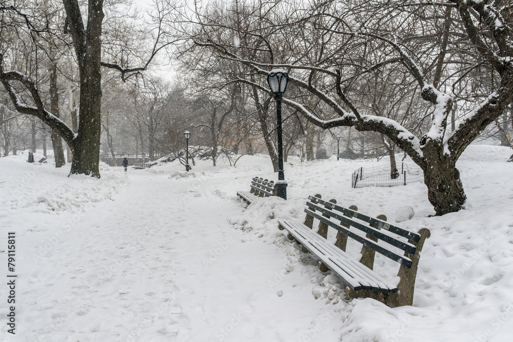 Snow storm in Central park