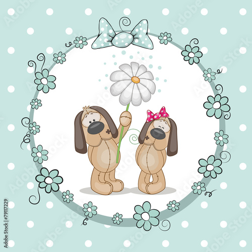 Two Dogs