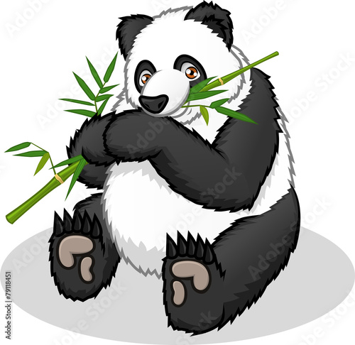 Fototapeta Naklejka Na Ścianę i Meble -  High Quality Giant Panda Cartoon Vector Illustration