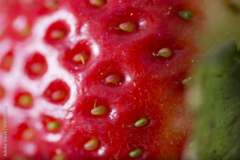 Strawberry macro Strawberry macro