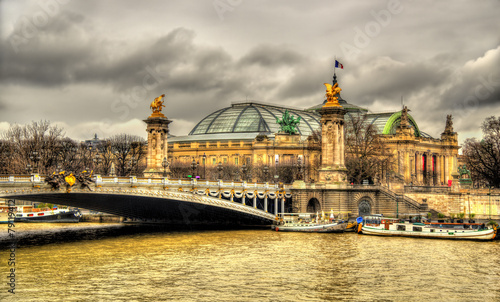Pont Alexandre lll and Le Grand Palais in Paris, France #79119412