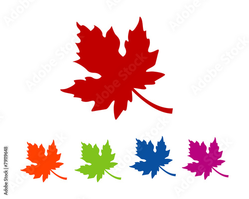 maple colorful