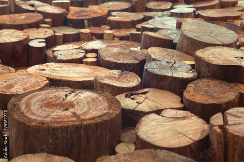 Teak wood stumps background with narrow focus