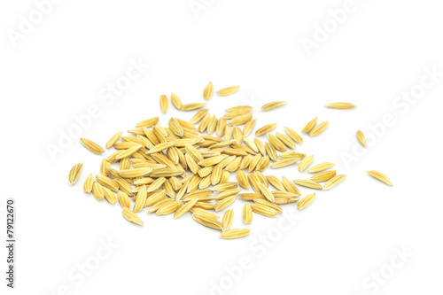 Yellow paddy jasmine rice