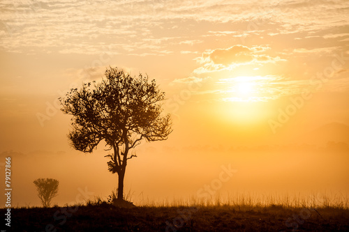 Wallpaper Mural Road of savanna Field in summer season. Torontodigital.ca