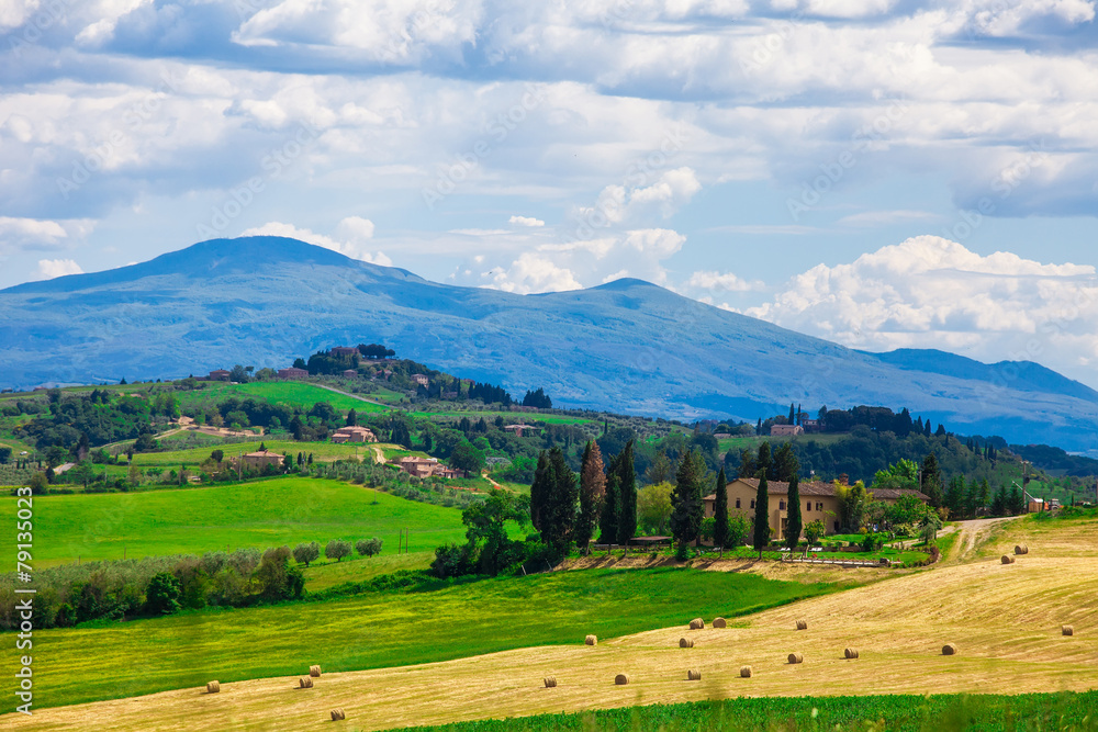 Typical summer rural landscape of Tuscany, Italy